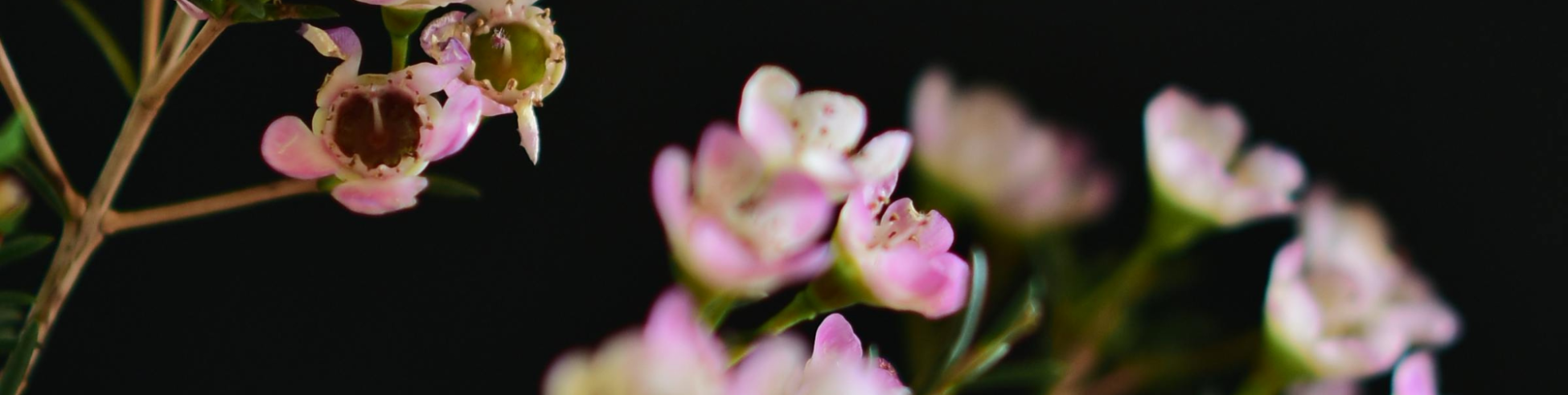 Group cover image